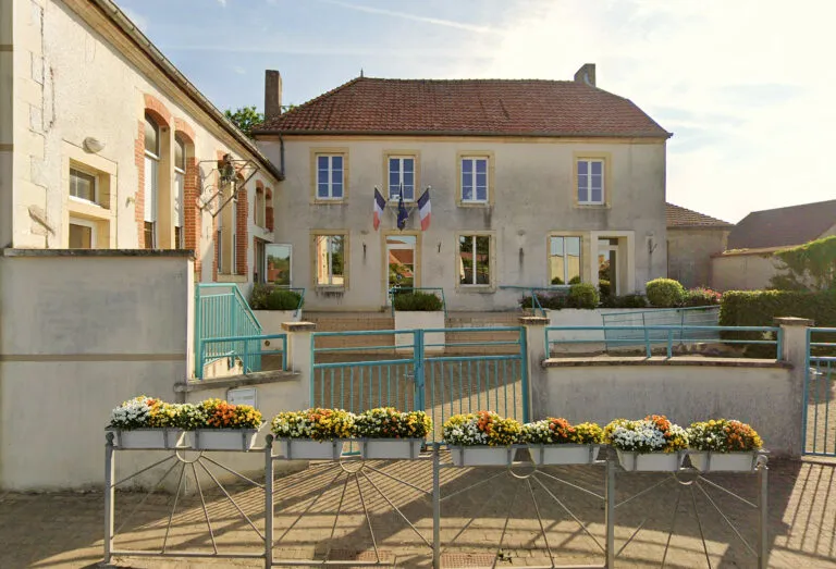 Savigny-Sur-Ardres (51170)