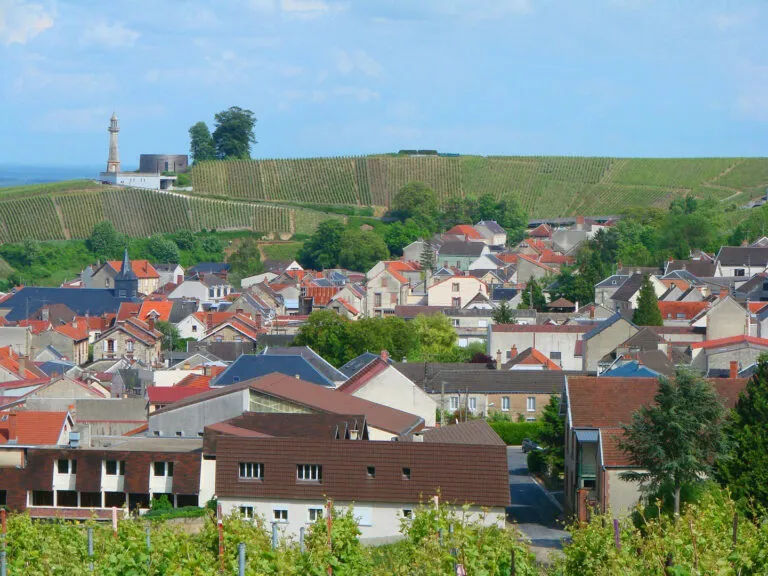 Verzenay  (51360)